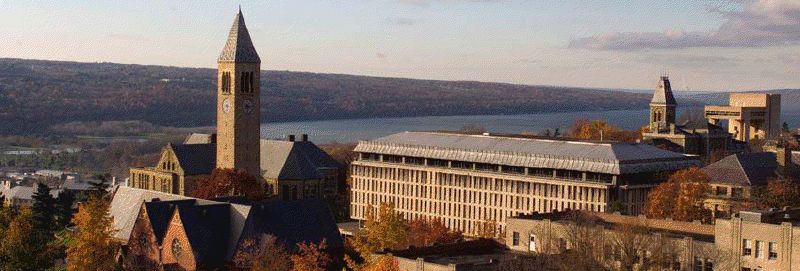 cornell