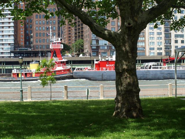 Roosevelt island