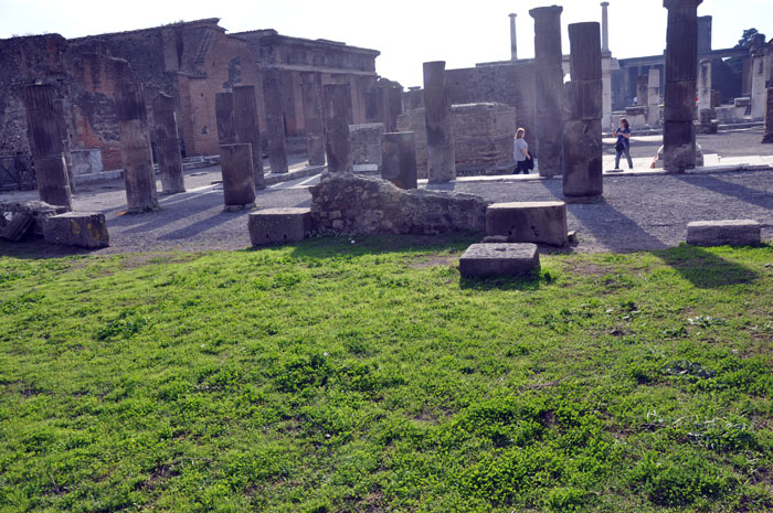 Pompei Ruins-172