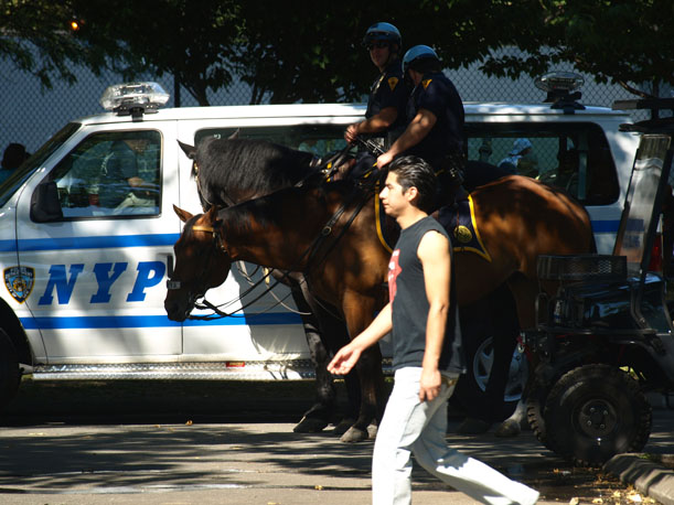 policehorse