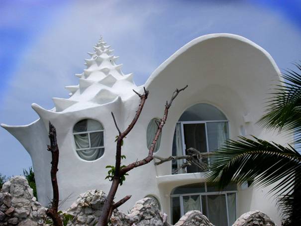 conchshellhouse