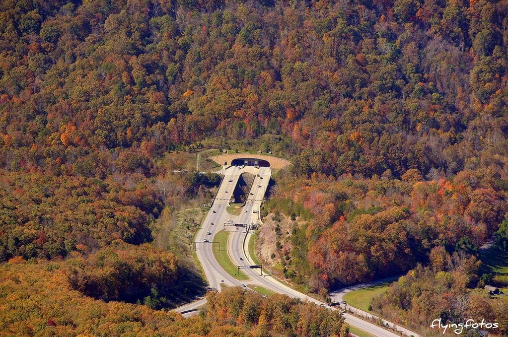 隧道