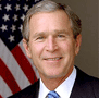 bush